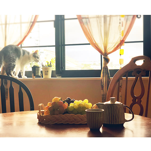 syungikuさんの実例写真
