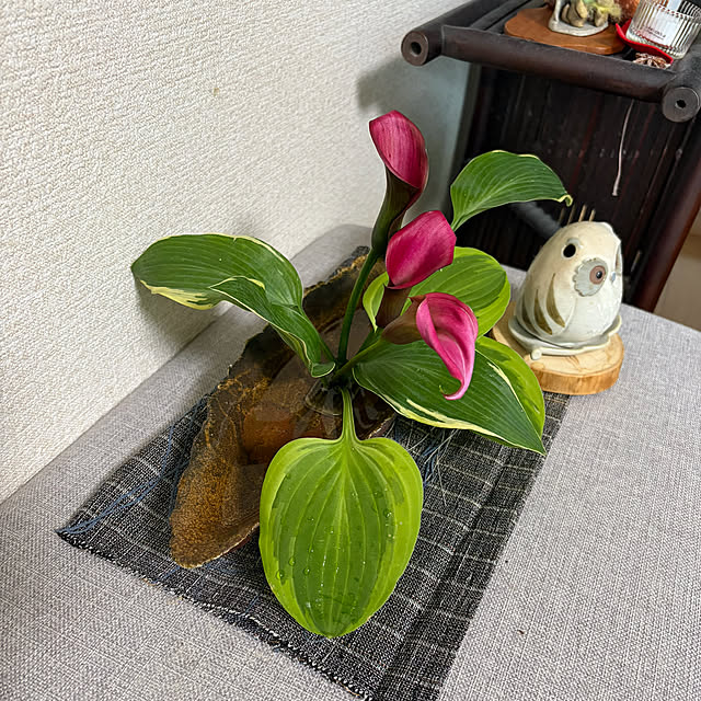ritsukoさんの部屋