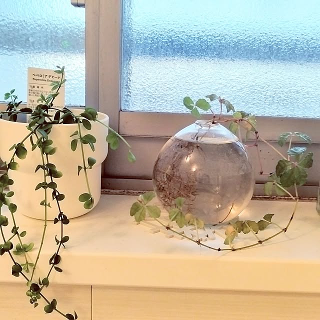 hiromimiさんの部屋