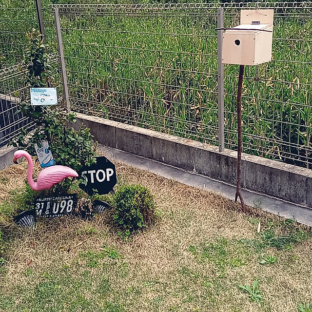 shiiitanさんの実例写真