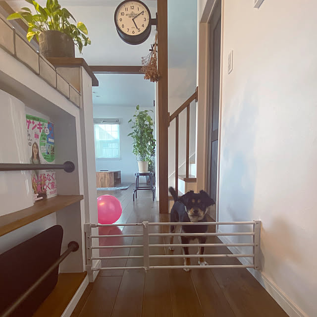 hashikaさんの実例写真