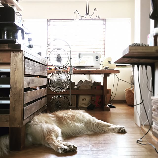 tomowithdogさんの実例写真