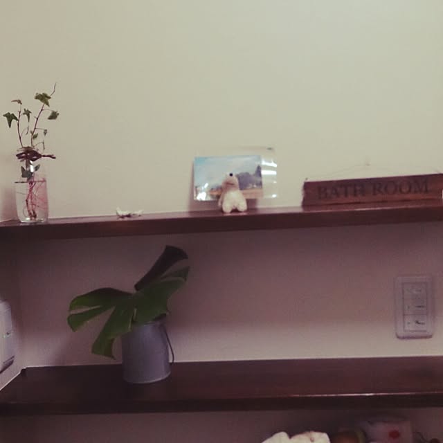 バス/トイレ/植物/雑貨のインテリア実例 - 2015-02-11 17:40:54