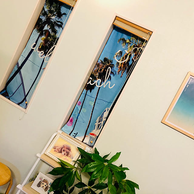 katsさんの実例写真