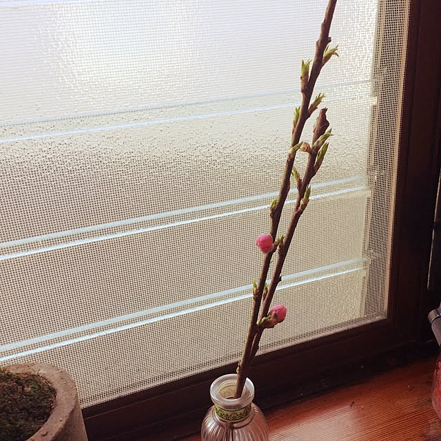 tomonon0812さんの実例写真