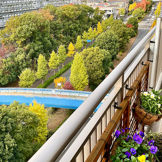 2.11maririnさんの部屋