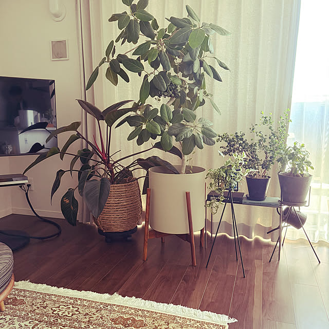 carocaroさんの実例写真