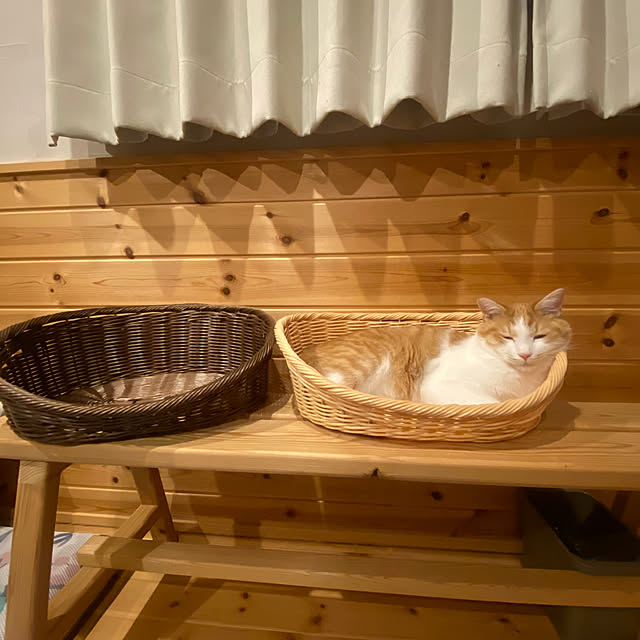 senbei.sakuramochiさんの実例写真