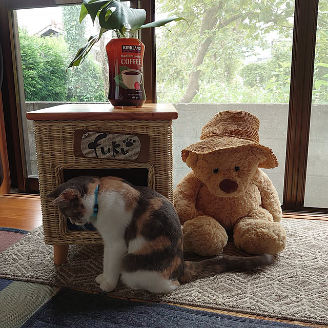 fukuさんの実例写真