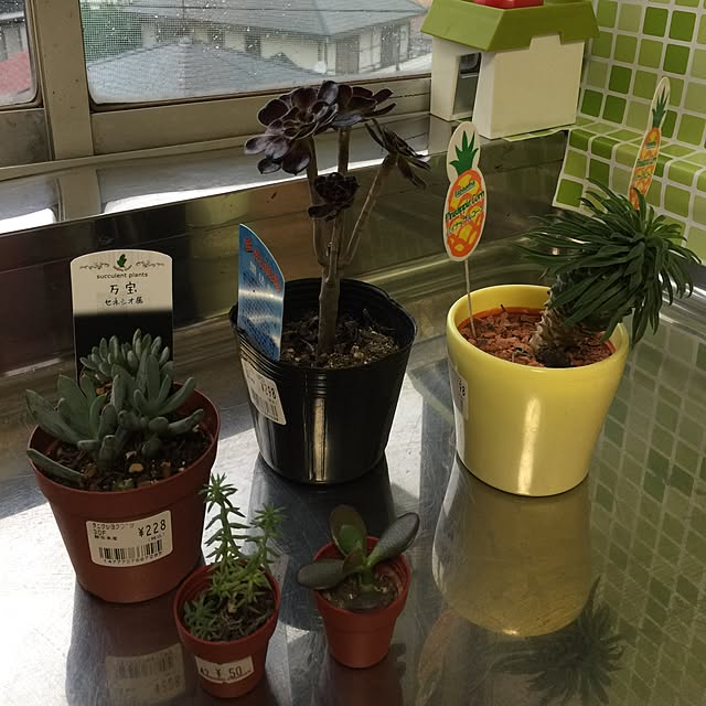 minkmintさんの実例写真