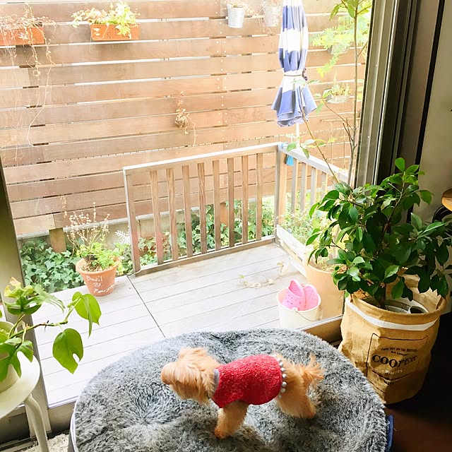 risaさんの実例写真