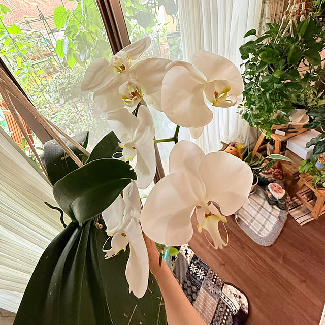 Aqettyさんの部屋