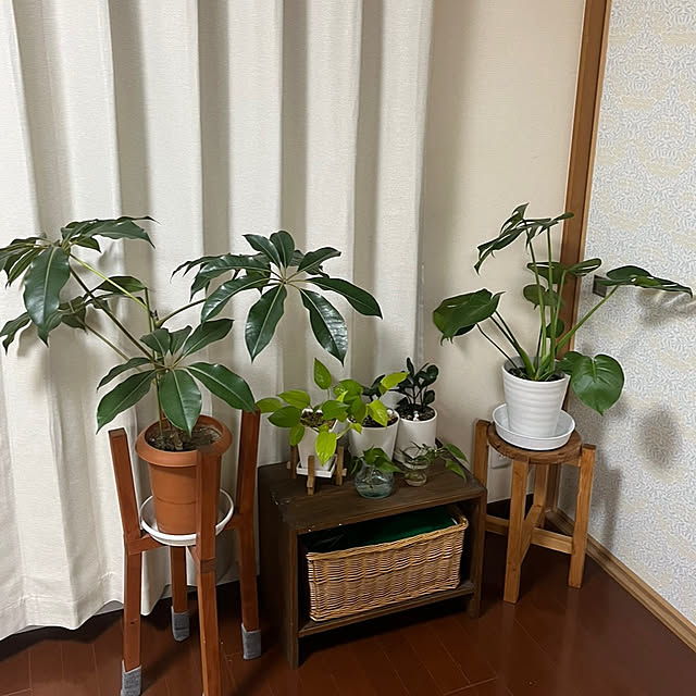 リビング/観葉植物/スツール/フラワースタンド/花...などのインテリア実例 - 2024-05-05 22:46:11