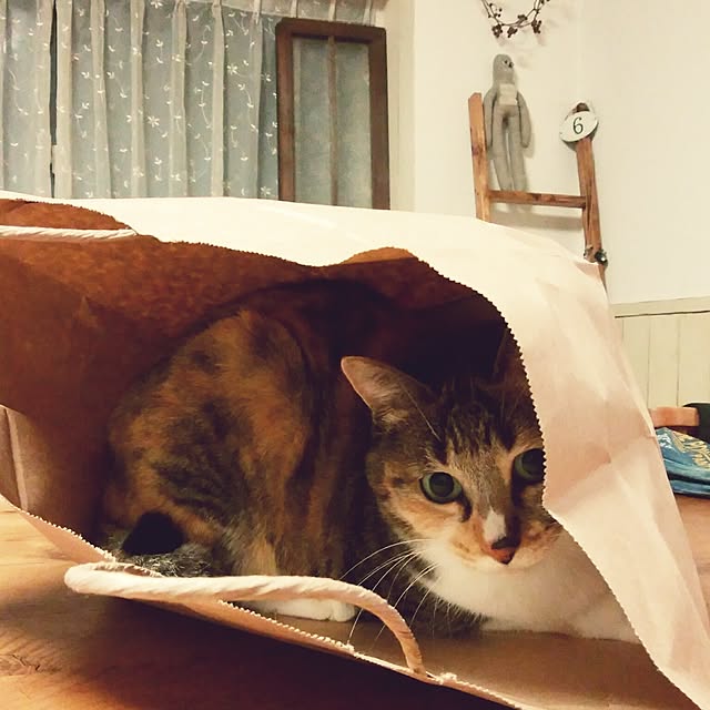 tomo1220さんの実例写真