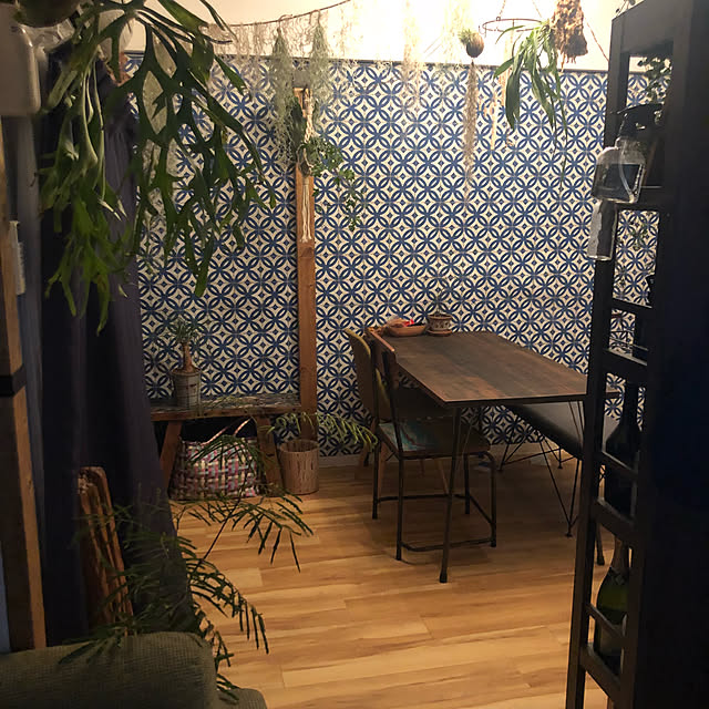 壁/天井/一人暮らし/観葉植物のインテリア実例 - 2018-05-20 22:34:14