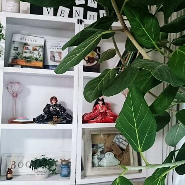 M_house_officialさんの実例写真