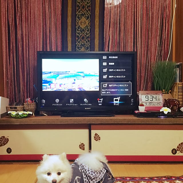 mikiさんの実例写真
