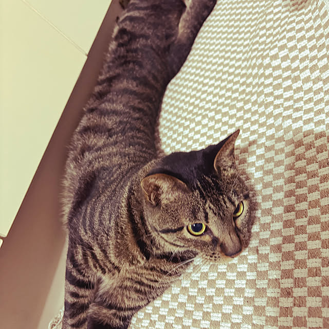 rikaさんの部屋