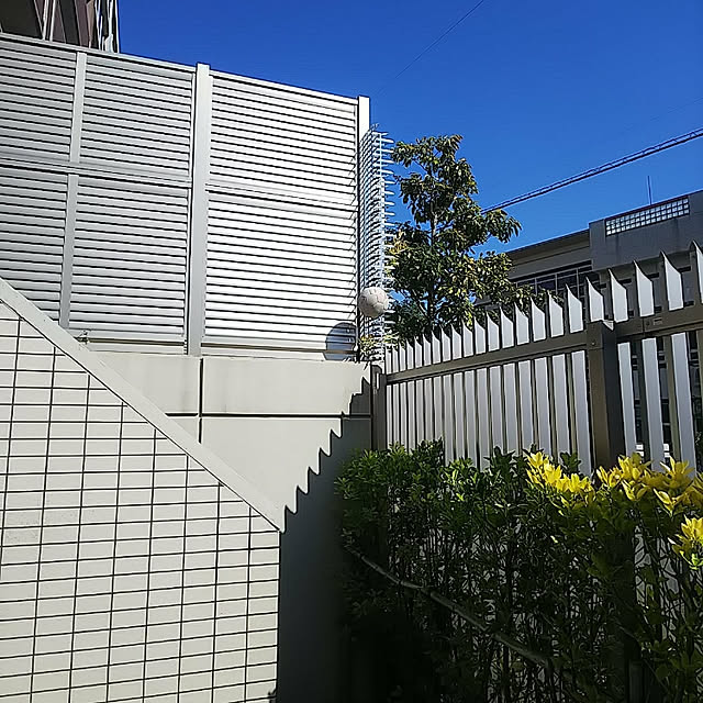 hiromimiさんの実例写真