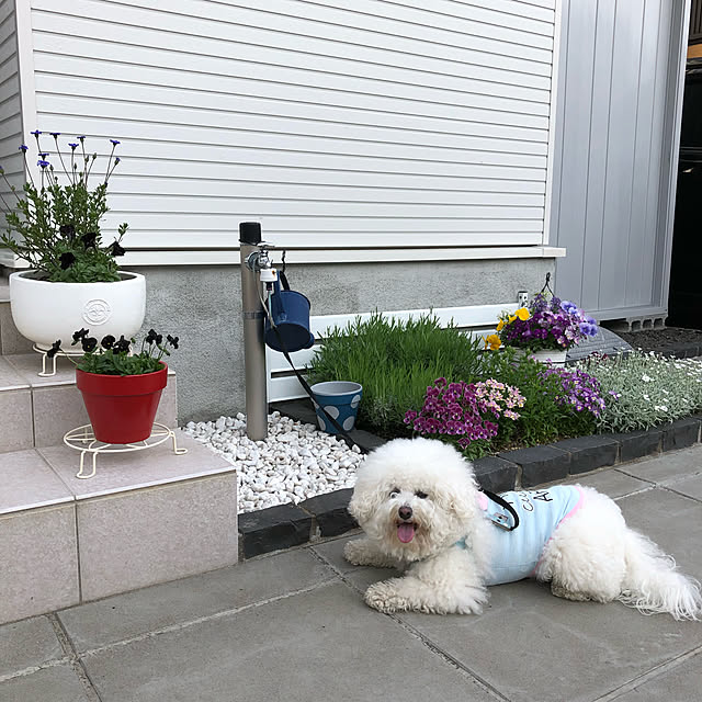 unichanさんの実例写真
