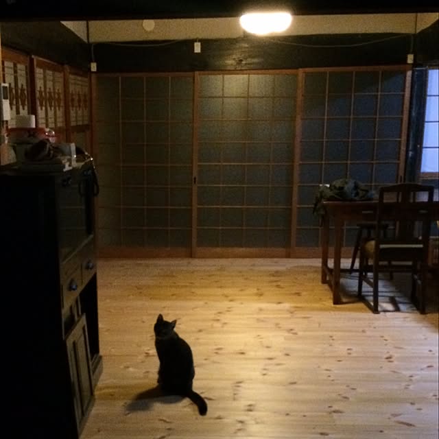 hazyさんの実例写真