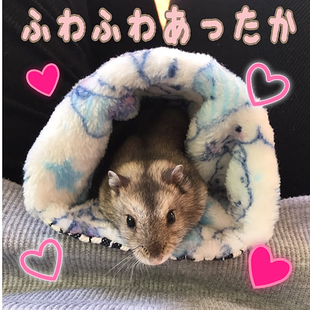 FUさんの実例写真