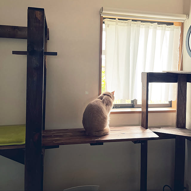 mikan161さんの実例写真
