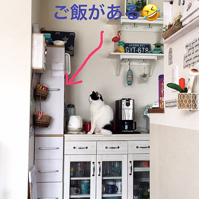 odekoさんの実例写真