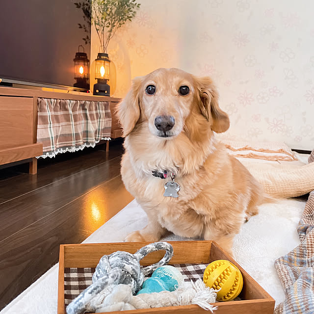 -Riley-mama.-さんの部屋