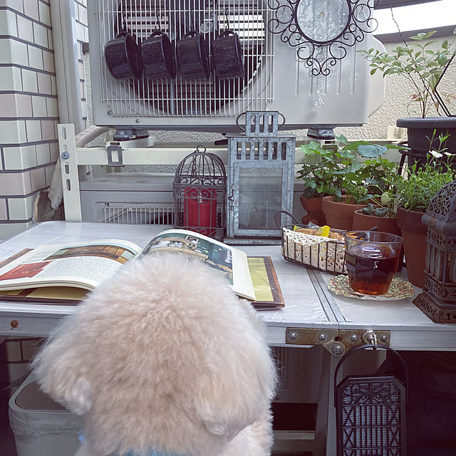 madamkaoriさんの部屋