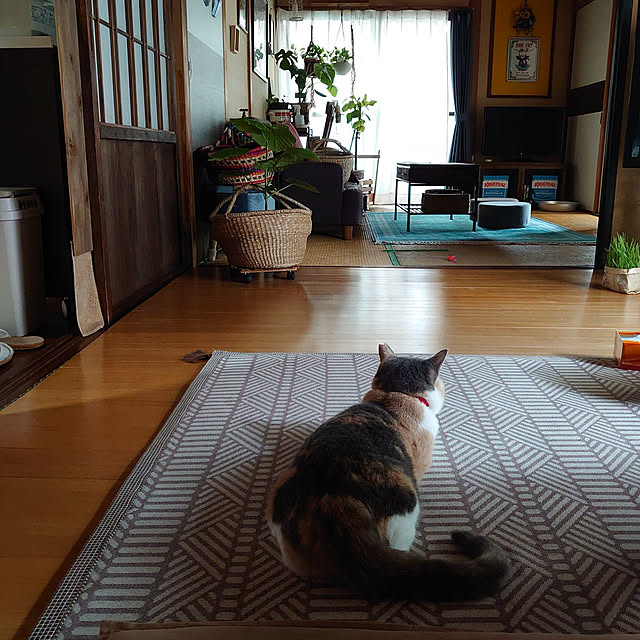 fukuさんの実例写真