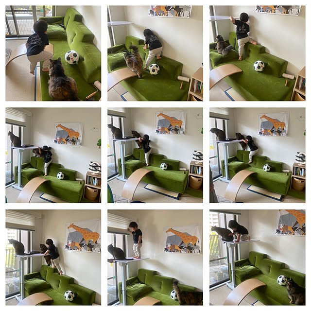 mikomaruさんの実例写真
