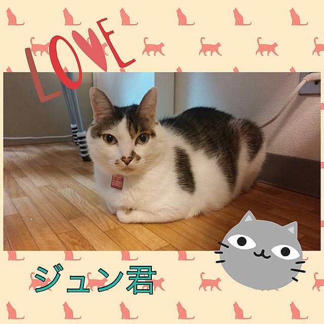 Sakiさんの実例写真