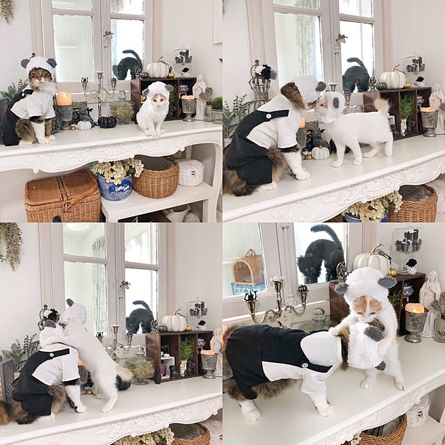 yuchiさんの実例写真