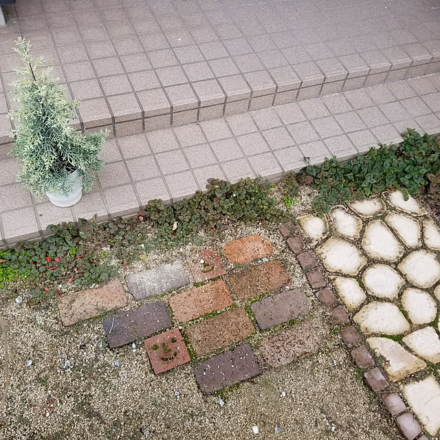 miiさんの実例写真