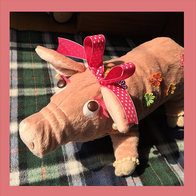 satochanさんの実例写真