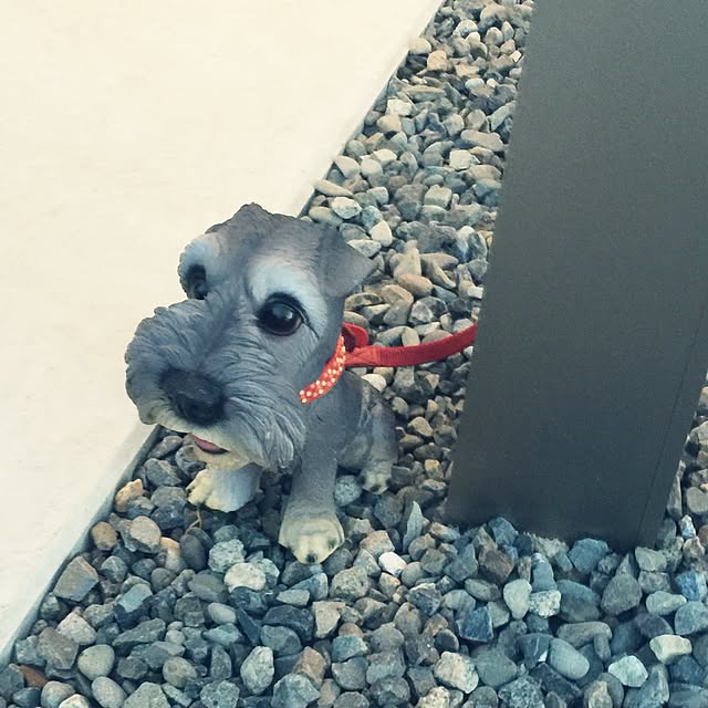 amiさんの実例写真