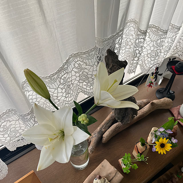 ritsukoさんの部屋