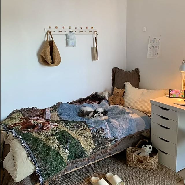 wilson_kehさんの実例写真