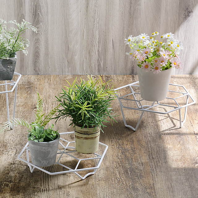 SANKAさんの実例写真