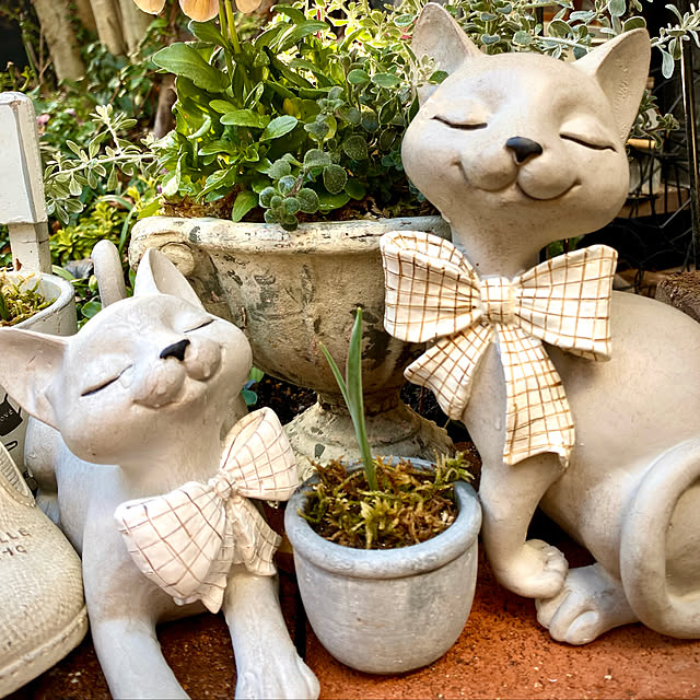 butachanさんの実例写真