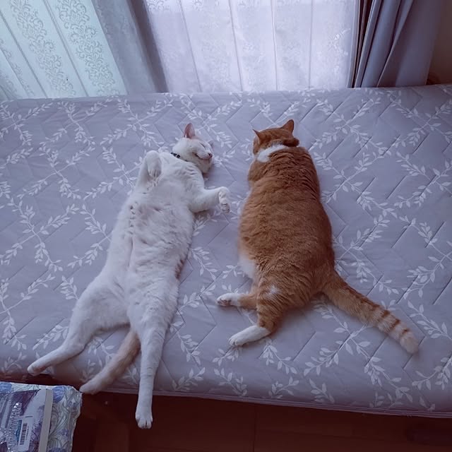 NOAHさんの部屋