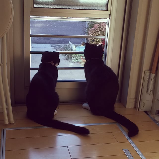 mikan0607さんの実例写真