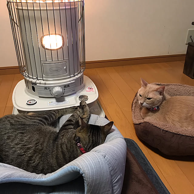 mikan161さんの実例写真