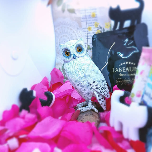 mariaさんの実例写真