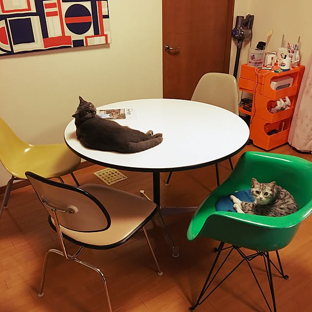 Shojiさんの実例写真