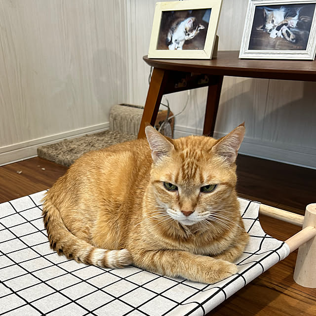 mikeume7さんの部屋