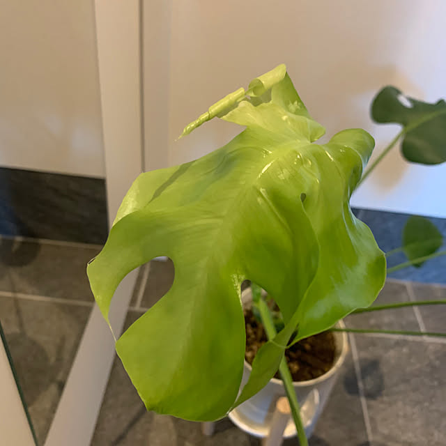 h_home.hさんの実例写真