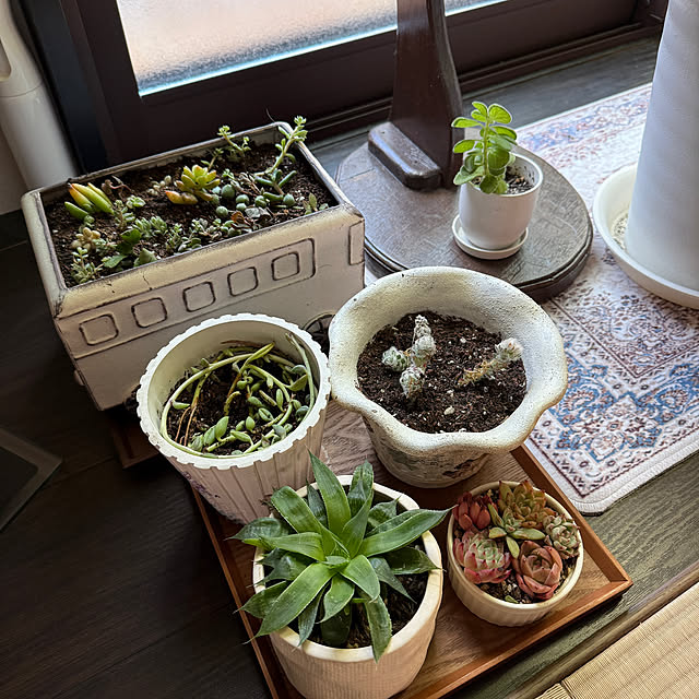 yumirilさんの部屋