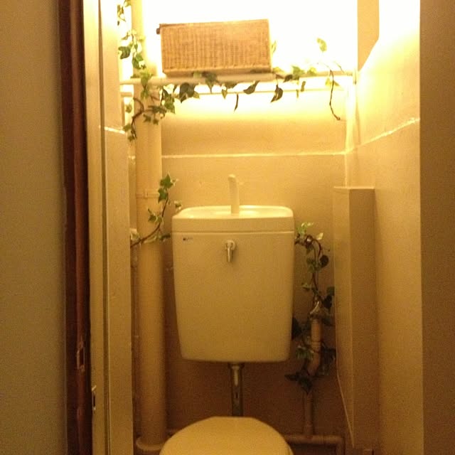 Haomeiさんの実例写真